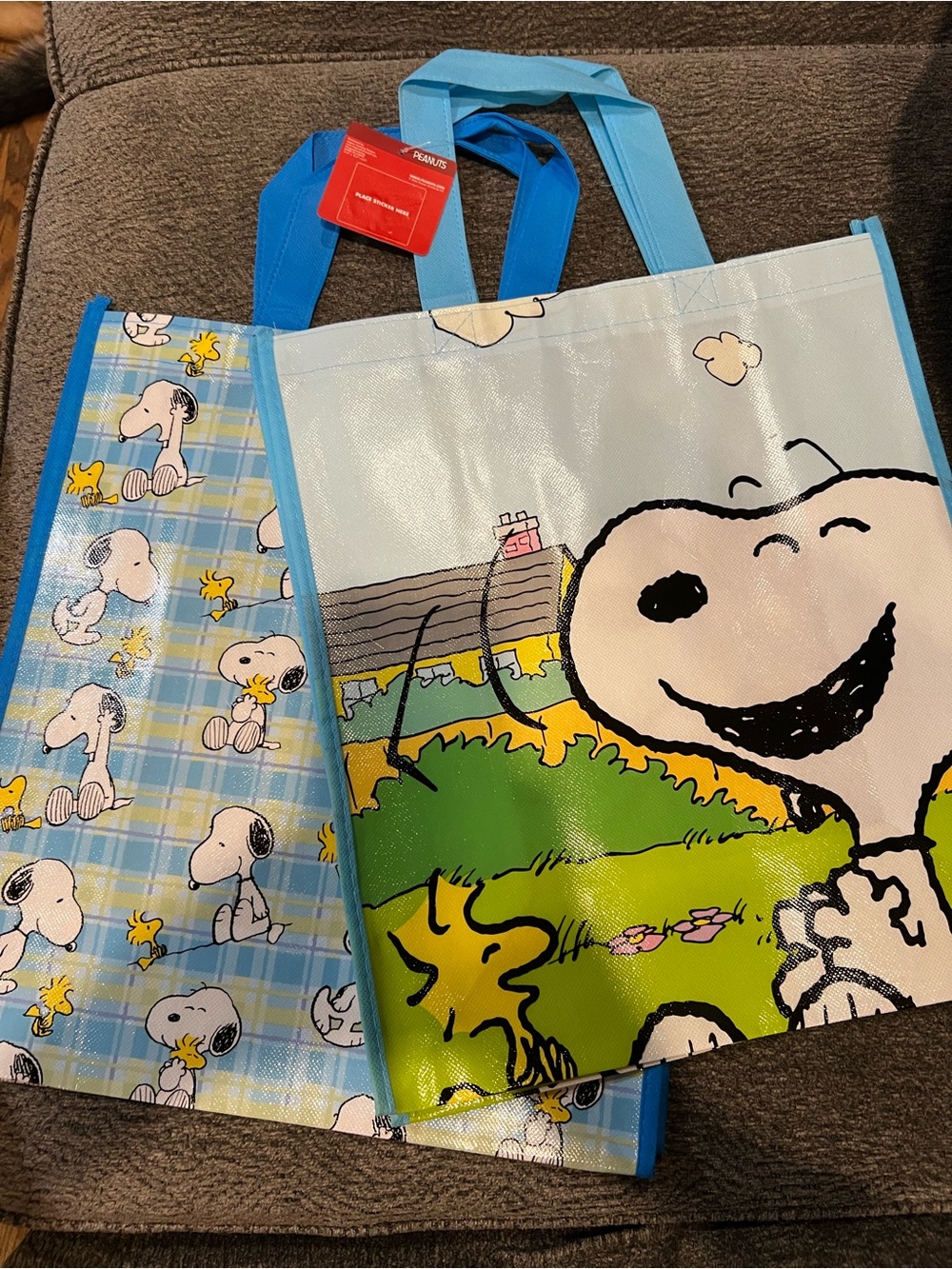 Peanuts Snoopy Tote Bag in Light Blue and Sky Blue set of 2